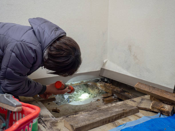 Best Comprehensive Air Testing for Mold Contaminants  in Lantana, FL