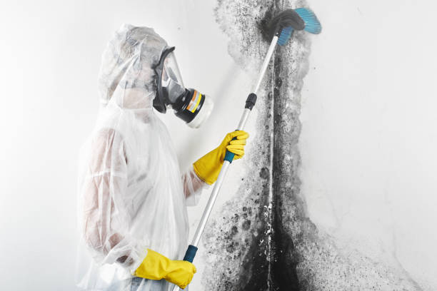 Best Biohazard Mold Removal  in Lantana, FL