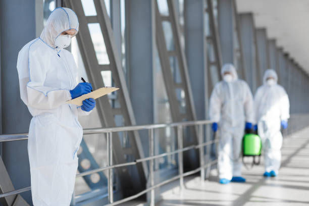 Best Post-Construction Mold Inspection  in Lantana, FL