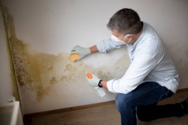 Best Post-Remediation Verification Testing  in Lantana, FL