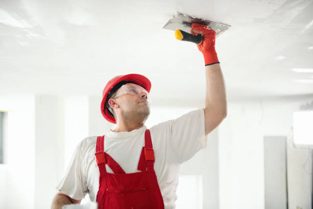 Professional Mold Removal in Lantana, FL